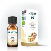 Ingvera (Zingiber officinale) BIO ēteriskā eļļa 100% organiska, dabīga, 10 ml