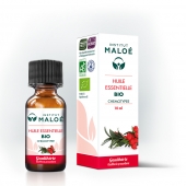 Ziemciete/ goltjēras (Gaultheria procumbens) BIO ēteriskā eļļa 100% organiska, dabīga 10 ml