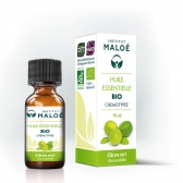 Laima (Citrus aurantiifolia) BIO ēteriskā eļļa 100% organiska, dabīga, 10 ml