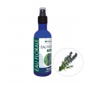 Hidrolāts Isops (Hyssopus officinalis), organisks, 200 ml
