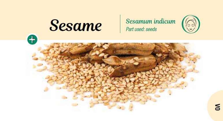 Sesame