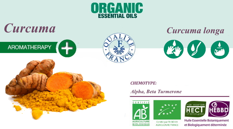 Curcuma