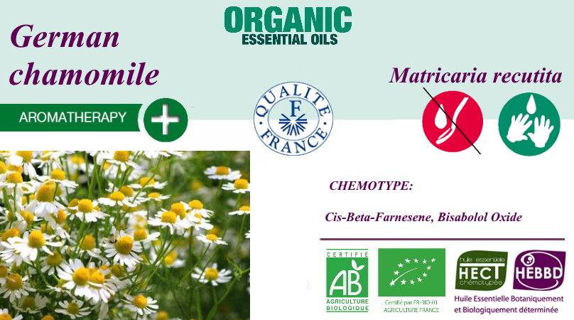 Эфирное масло немецкой ромашки