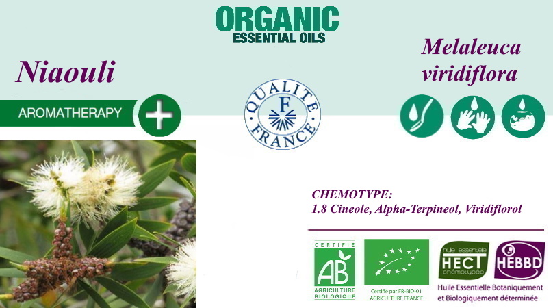 Найоли Melaleuka viridiflora био эфирное масло информация