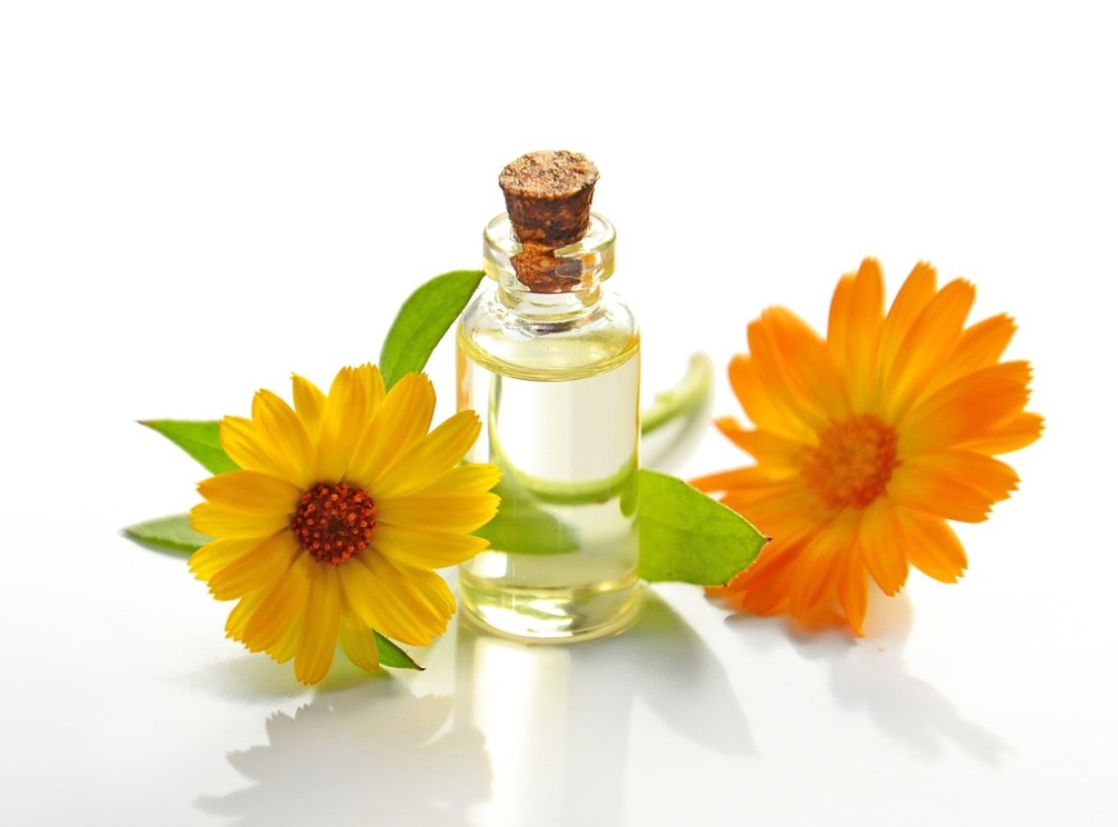 Calendula