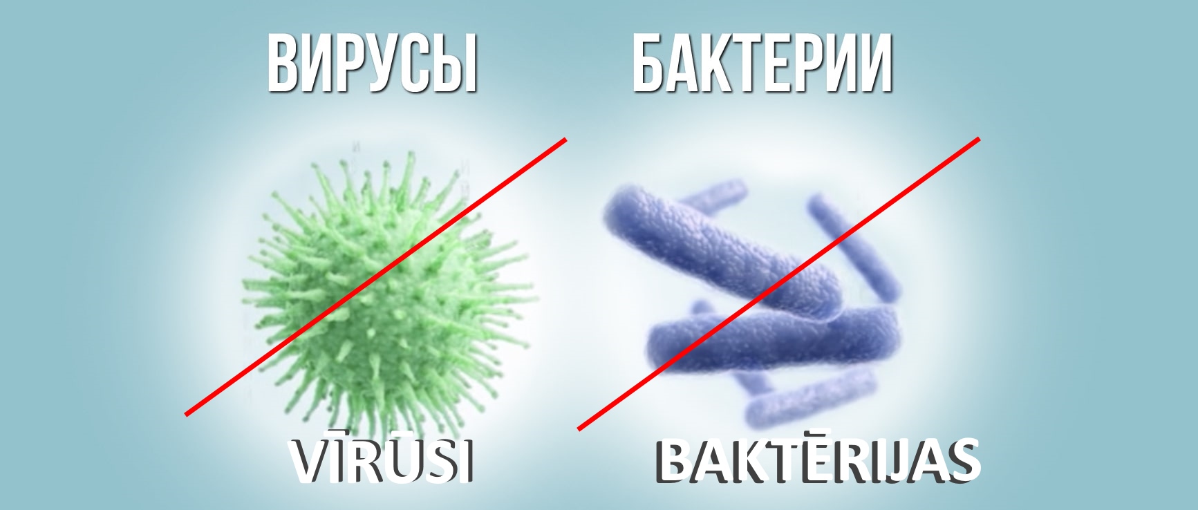 Вирусы и бактерии