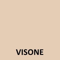 visone