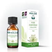 Эфирное масло Семян моркови Daucus carota BIO 100% органическое, натуральное, 5 ml
