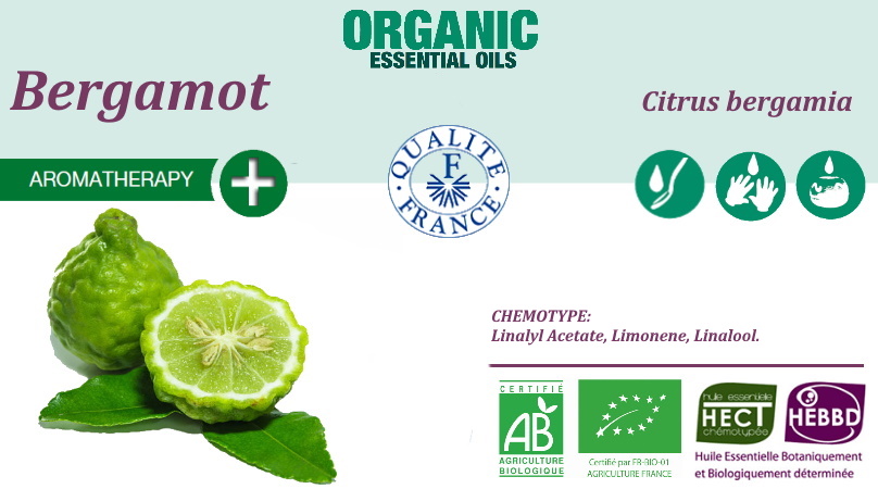 Bergomote Citrus bergamia