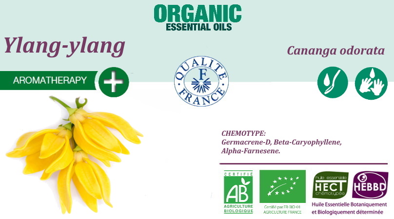 Ylang ylang