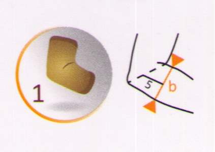 Elkoņa locitāvu izmēru informācija