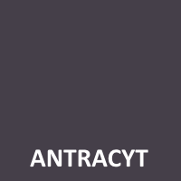 antracyt